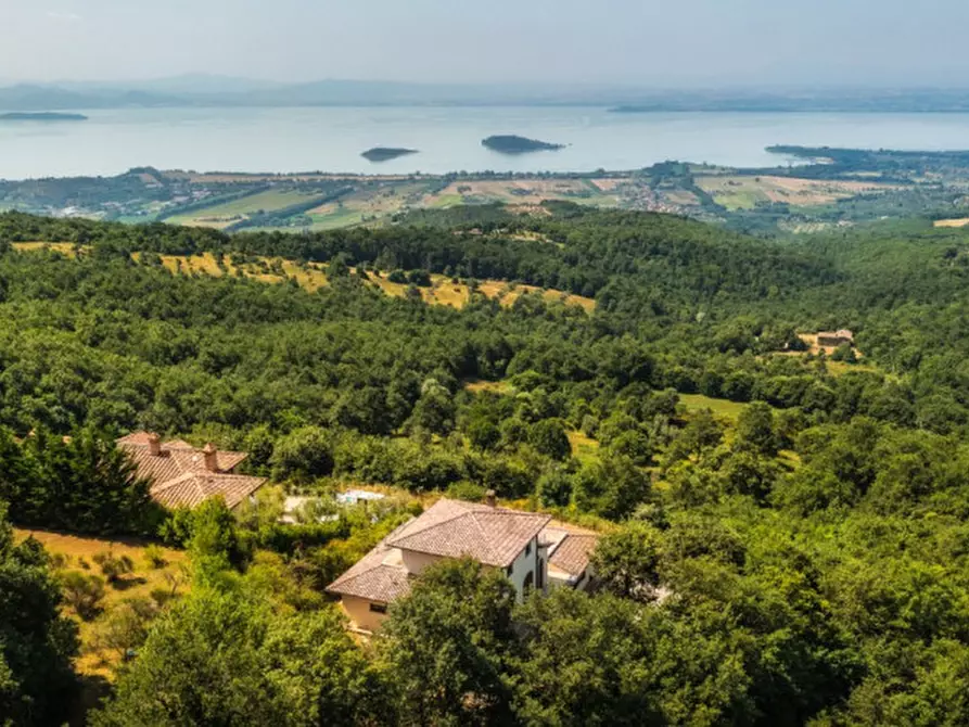 Immagine 3 di Villa in vendita  a Lisciano Niccone