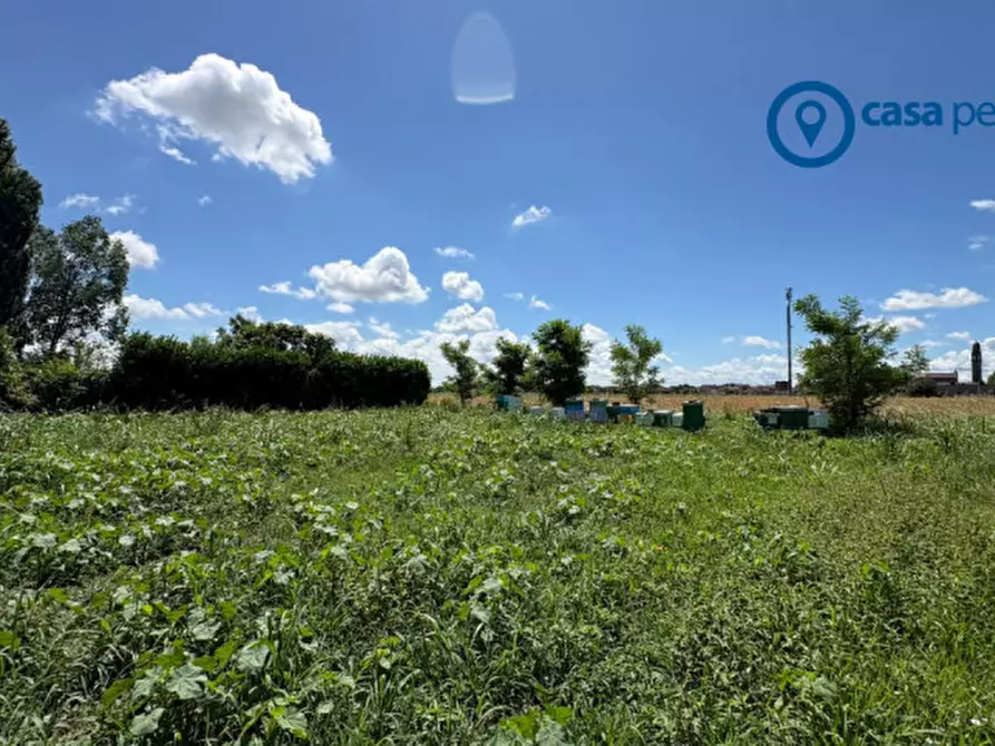 Immagine 3 di Terreno in vendita  in Via Ghetto a Pontecchio Polesine