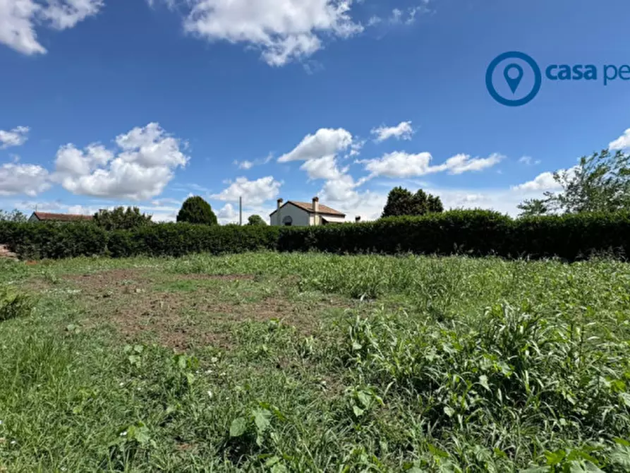 Immagine 4 di Terreno in vendita  in Via Ghetto a Pontecchio Polesine