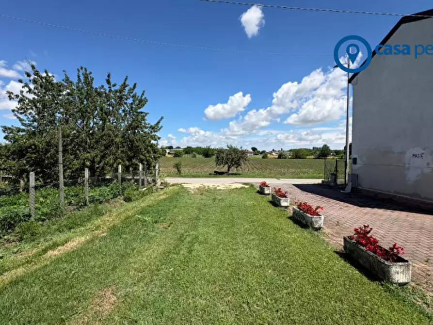 Immagine 5 di Terreno in vendita  in Via Ghetto a Pontecchio Polesine