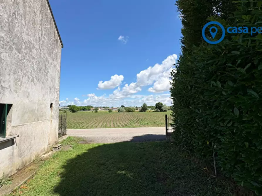 Immagine 6 di Terreno in vendita  in Via Ghetto a Pontecchio Polesine