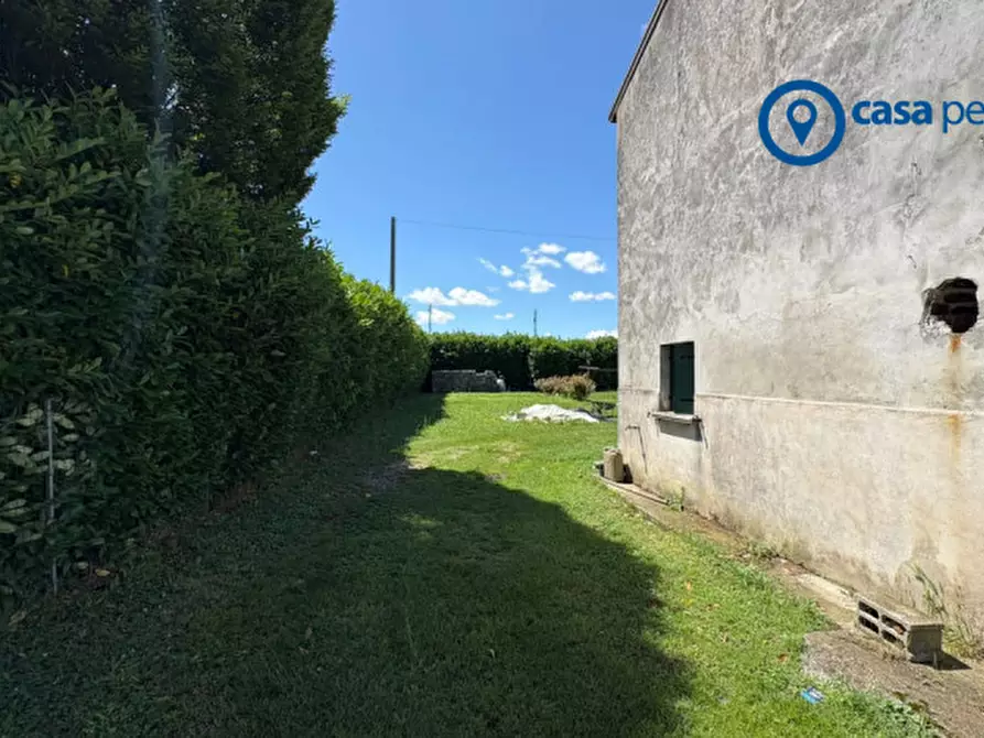 Immagine 7 di Terreno in vendita  in Via Ghetto a Pontecchio Polesine