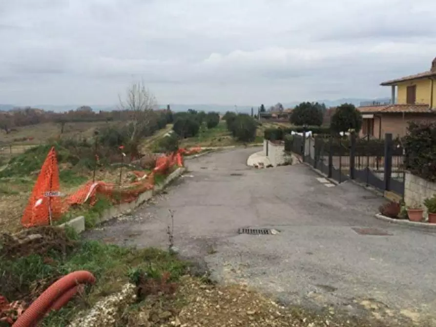 Immagine 3 di Terreno in vendita  in Via della Balzana a Castelnuovo Berardenga