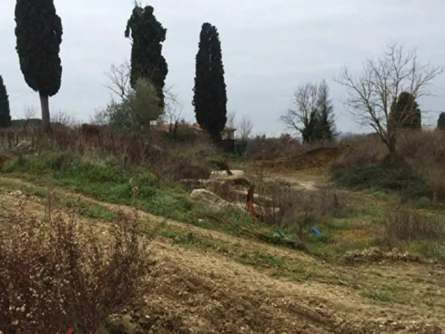 Immagine 5 di Terreno in vendita  in Via della Balzana a Castelnuovo Berardenga
