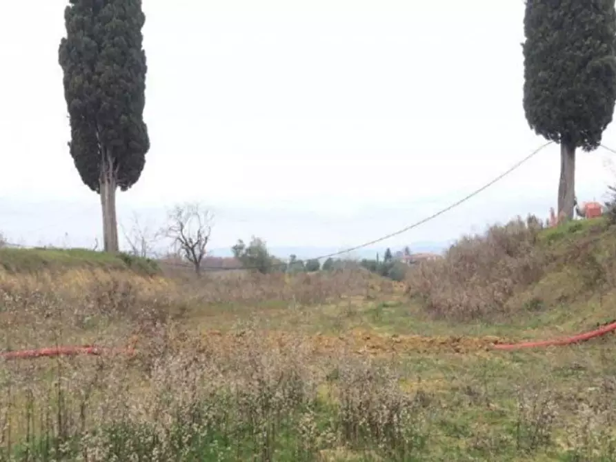Immagine 8 di Terreno in vendita  in Via della Balzana a Castelnuovo Berardenga
