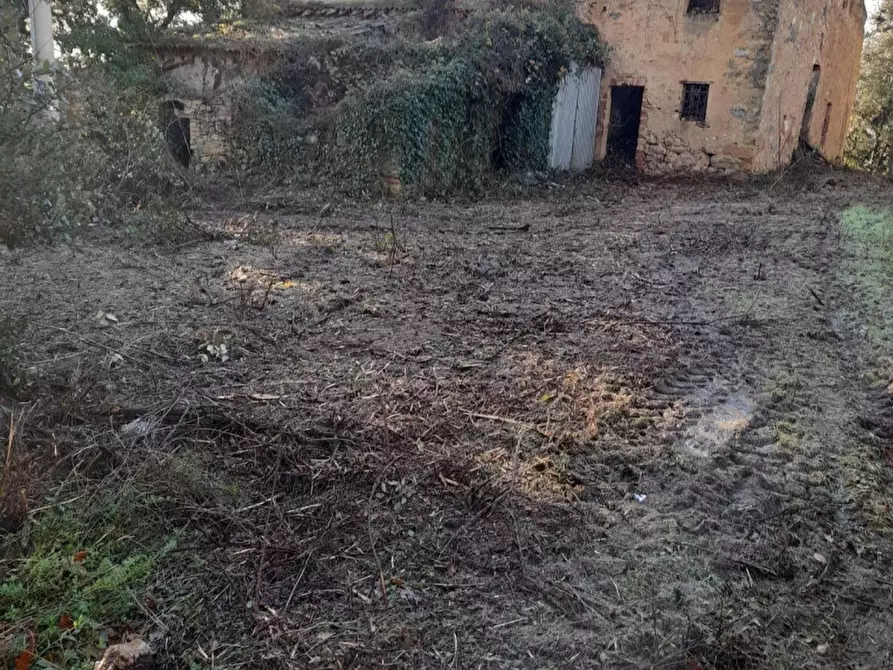 Immagine 2 di Rustico / casale in vendita  in Località Ciuciano, 3, 53037 San Gimignano SI, Italia a San Gimignano