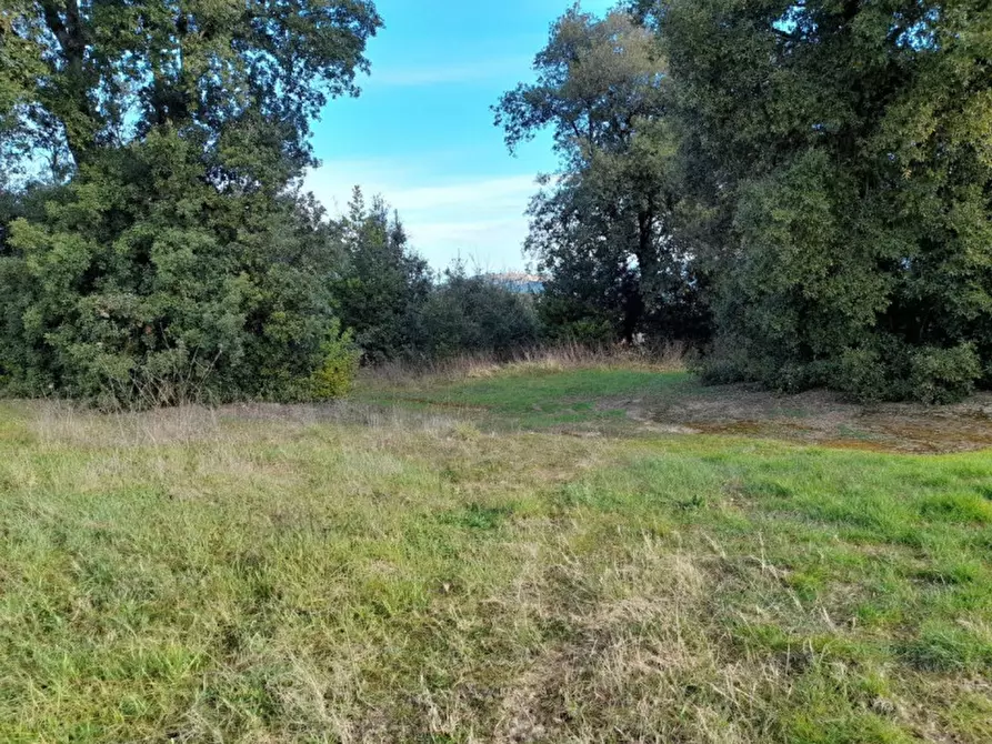 Immagine 3 di Rustico / casale in vendita  in Località Ciuciano, 3, 53037 San Gimignano SI, Italia a San Gimignano