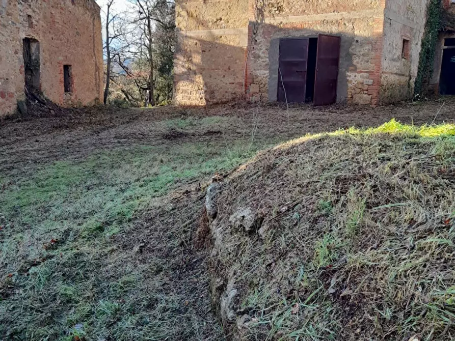 Immagine 5 di Rustico / casale in vendita  in Località Ciuciano, 3, 53037 San Gimignano SI, Italia a San Gimignano