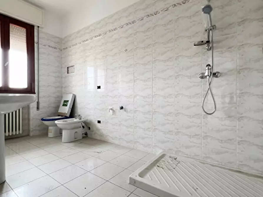 Immagine 5 di Appartamento in vendita  a San Giorgio Delle Pertiche
