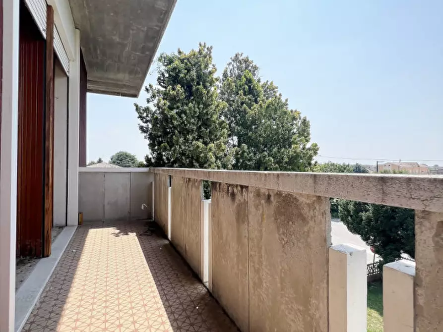 Immagine 14 di Appartamento in vendita  a San Giorgio Delle Pertiche