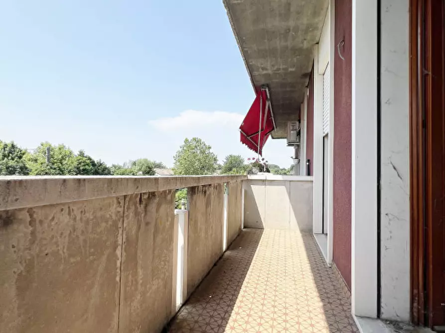 Immagine 15 di Appartamento in vendita  a San Giorgio Delle Pertiche