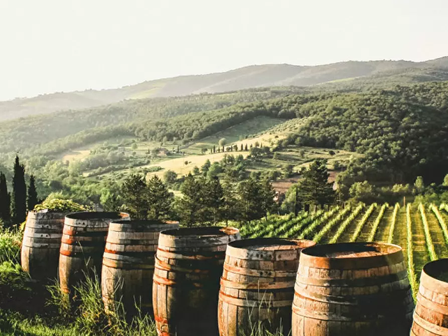 Immagine 7 di Terreno in vendita  in Via Roma a Sant'ambrogio Di Valpolicella