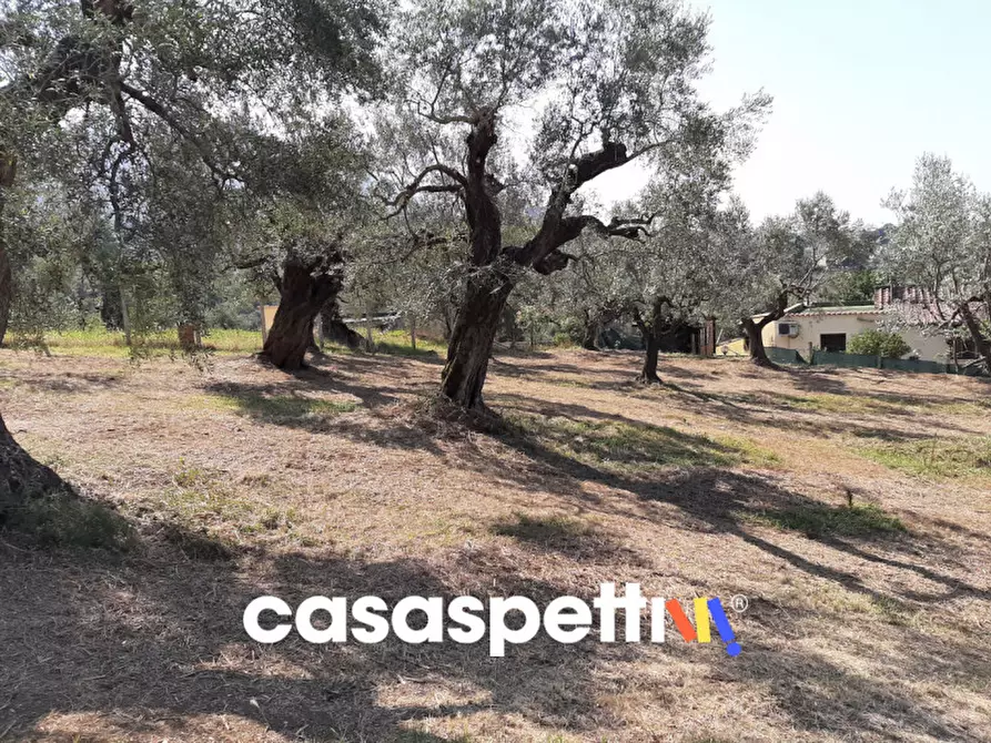 Immagine 6 di Magazzino in vendita  in Strada di Colle Novo 8 a Palombara Sabina