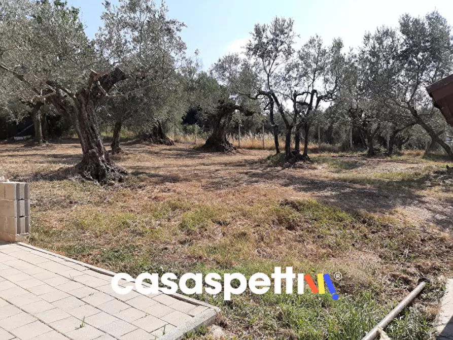 Immagine 7 di Magazzino in vendita  in Strada di Colle Novo 8 a Palombara Sabina