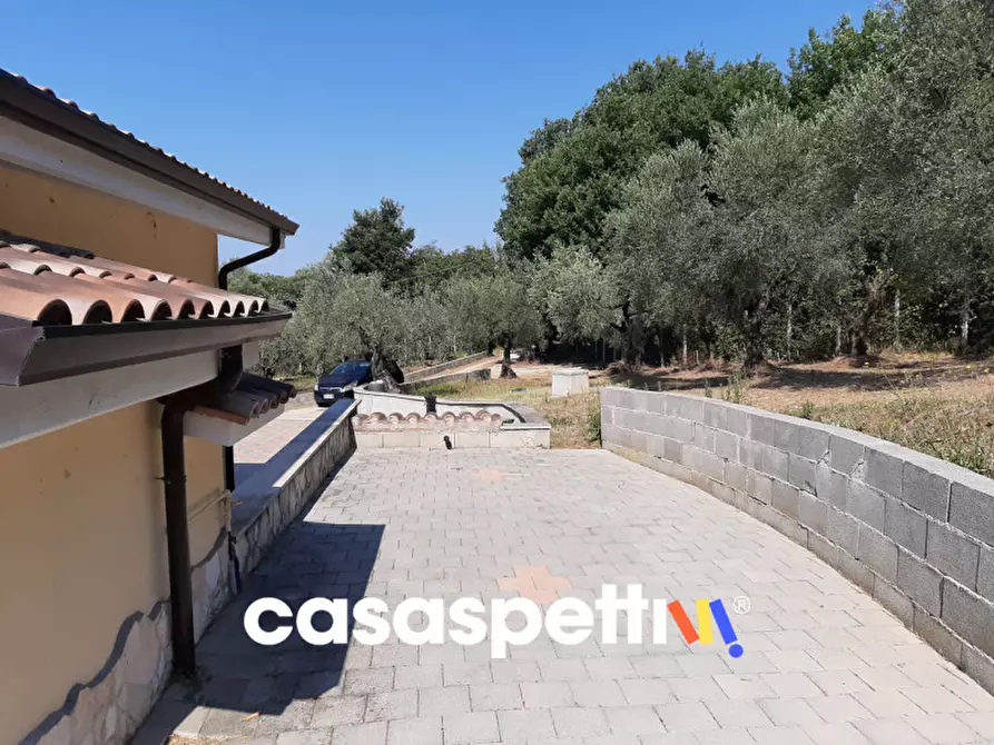 Immagine 8 di Magazzino in vendita  in Strada di Colle Novo 8 a Palombara Sabina