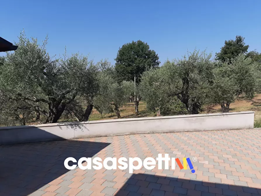 Immagine 10 di Magazzino in vendita  in Strada di Colle Novo 8 a Palombara Sabina
