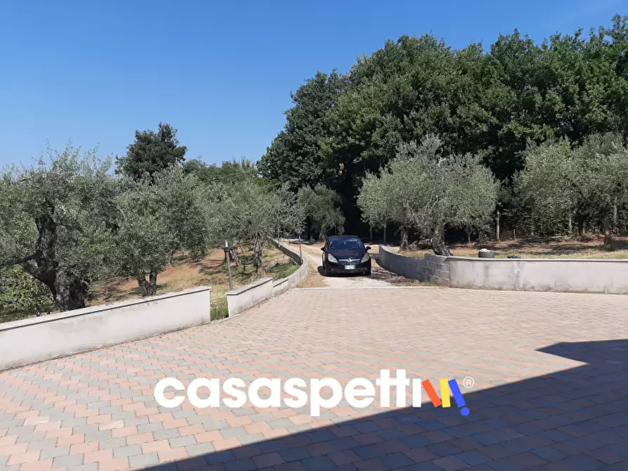 Immagine 13 di Magazzino in vendita  in Strada di Colle Novo 8 a Palombara Sabina