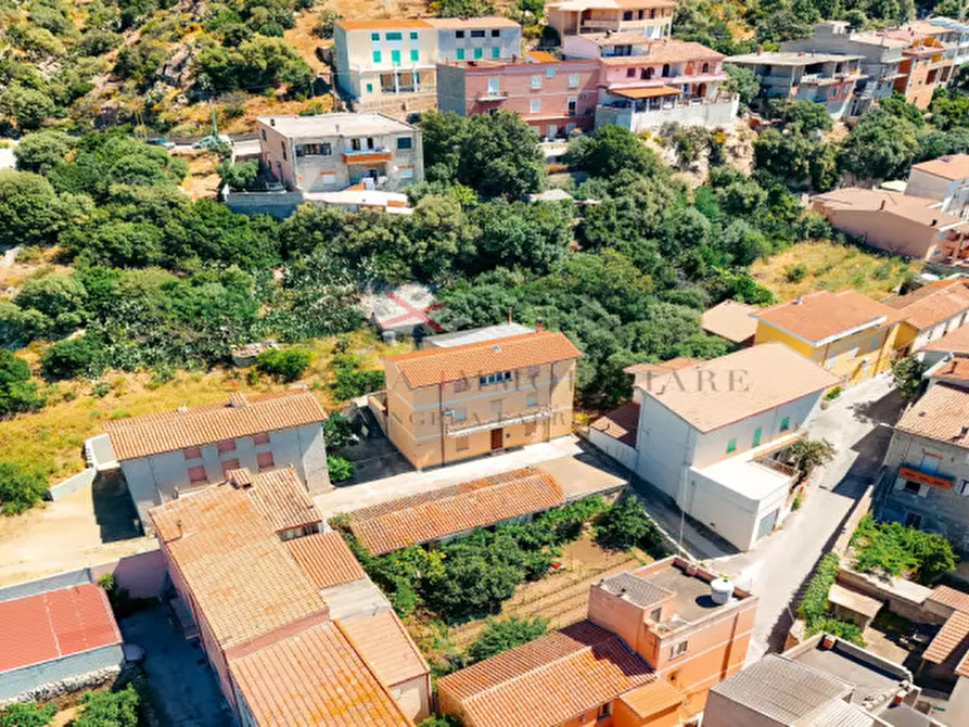 Immagine 2 di Casa indipendente in vendita  in Via Giuseppe Mazzini 44 a Lodè