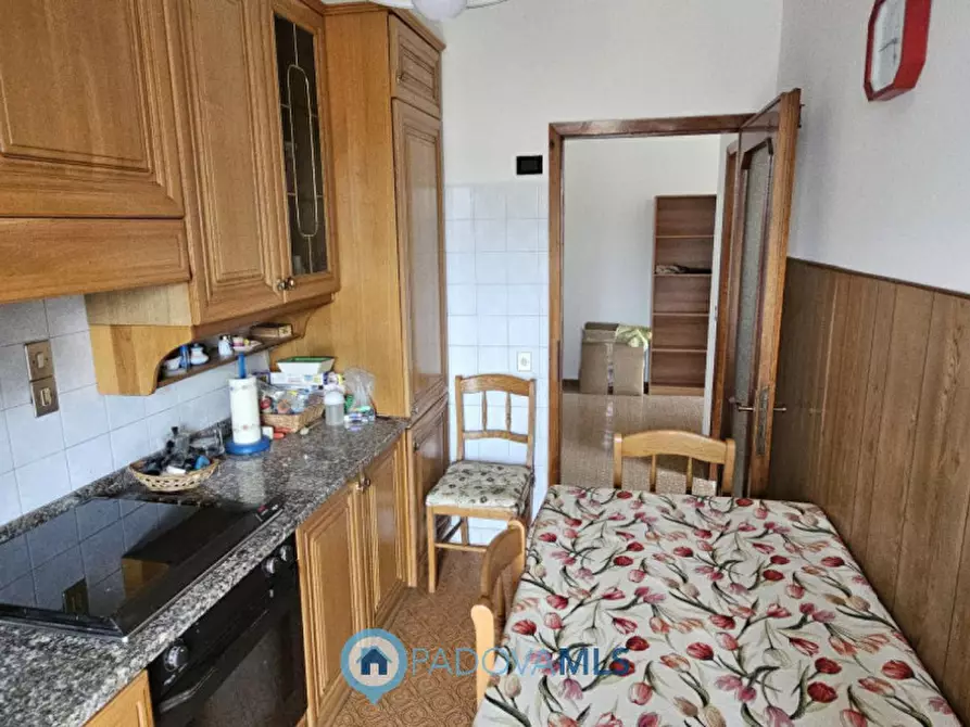 Immagine 5 di Appartamento in vendita  in Via T. Tasso a Noventa Padovana
