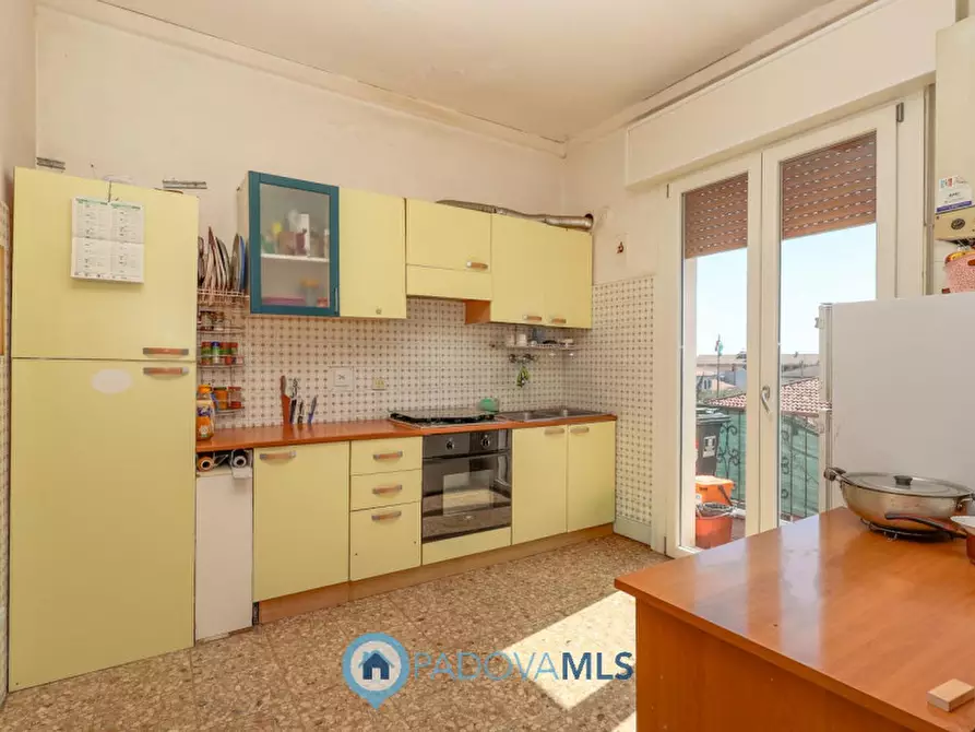 Immagine 3 di Appartamento in vendita  in Via Genova, 6 a Campagna Lupia