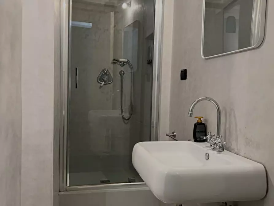 Immagine 11 di Appartamento in affitto  in PIAZZA DI SANTO SPIRITO a Firenze