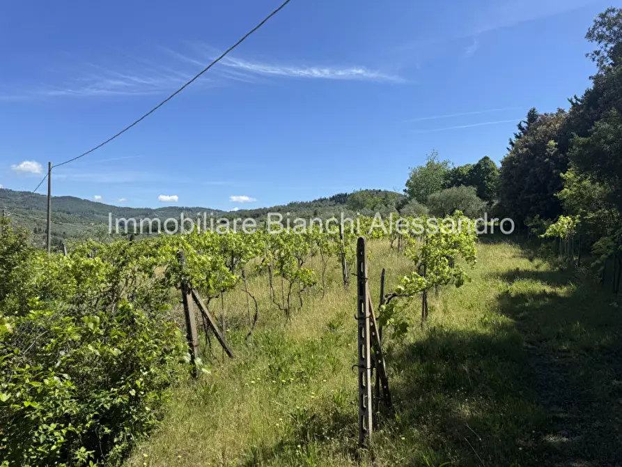 Immagine 10 di Villa in vendita  in Via di Capornia 1 a Firenze