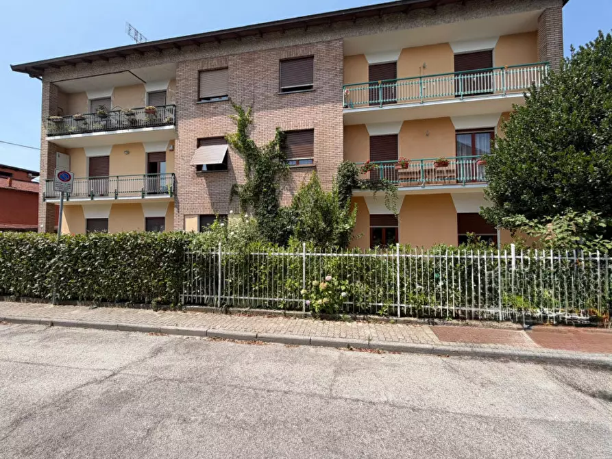 Immagine 32 di Appartamento in vendita  in Via Edelweiss a Borgo San Dalmazzo