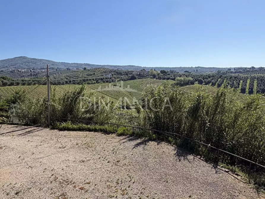 Immagine 12 di Rustico / casale in vendita  a Vinci