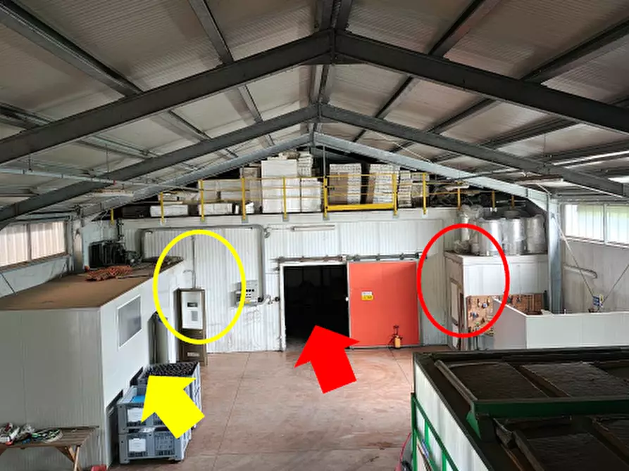 Immagine 3 di Magazzino in vendita  in Via Pietro Zorutti, 10 a San Giorgio Della Richinvelda
