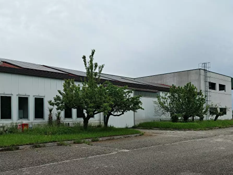 Immagine 6 di Magazzino in vendita  in Via Pietro Zorutti, 10 a San Giorgio Della Richinvelda