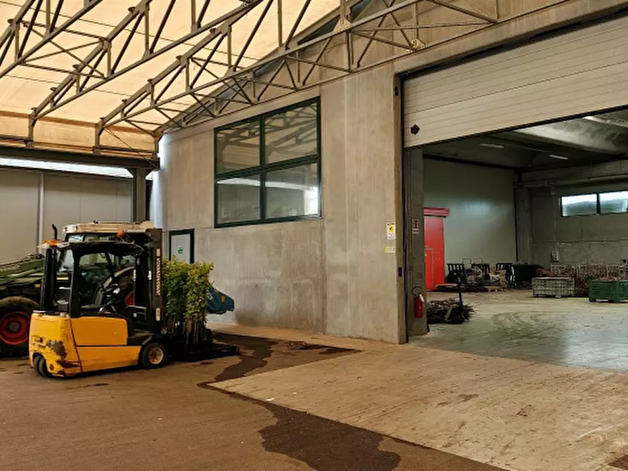 Immagine 8 di Magazzino in vendita  in Via Pietro Zorutti, 10 a San Giorgio Della Richinvelda
