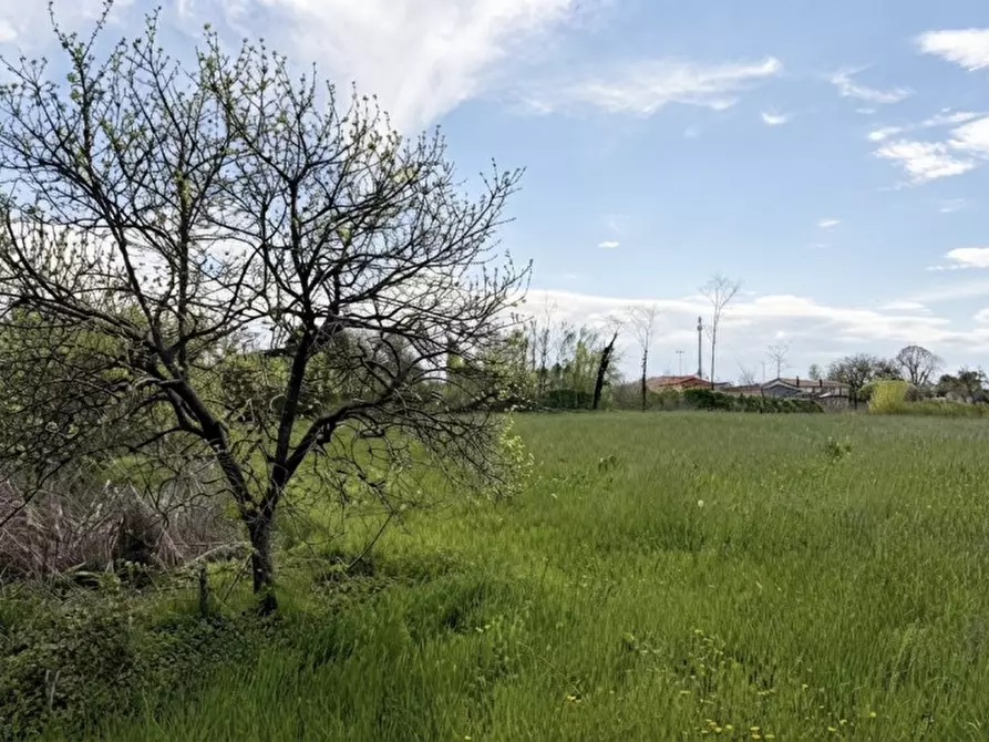 Immagine 1 di Terreno in vendita  in Via Meolde a Piombino Dese
