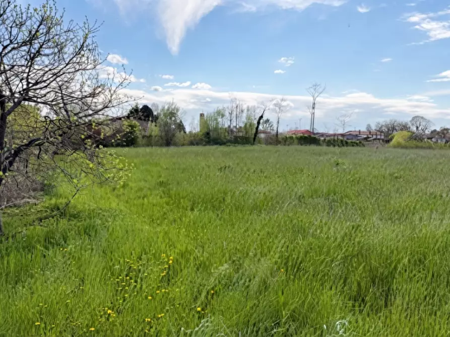 Immagine 2 di Terreno in vendita  in Via Meolde a Piombino Dese