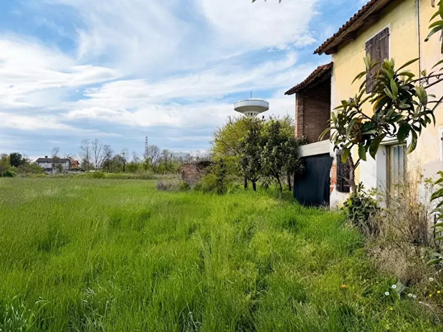 Immagine 4 di Terreno in vendita  in Via Meolde a Piombino Dese