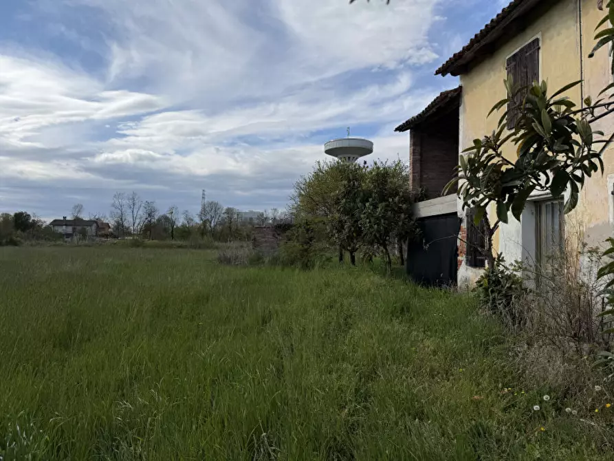 Immagine 3 di Terreno in vendita  in Via Meolde a Piombino Dese
