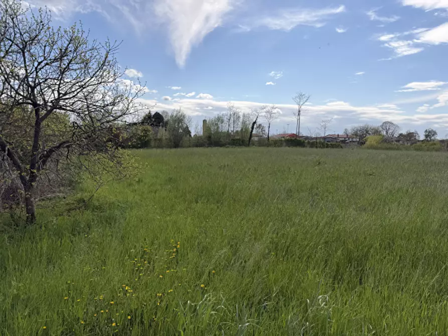 Immagine 4 di Terreno in vendita  in Via Meolde a Piombino Dese
