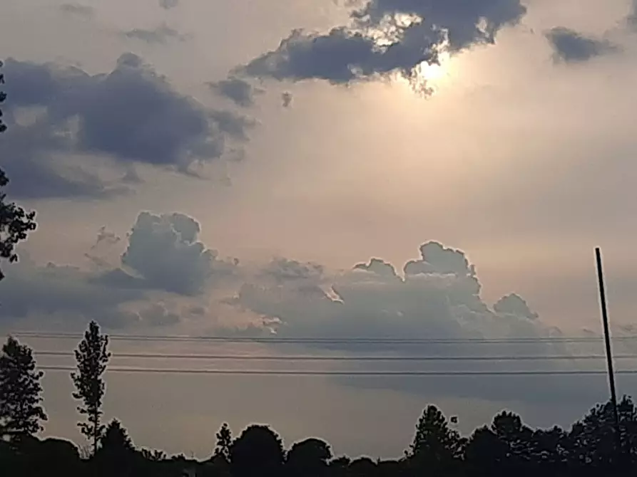 Immagine 3 di Villa in vendita  in Via Recanati a Vigonza