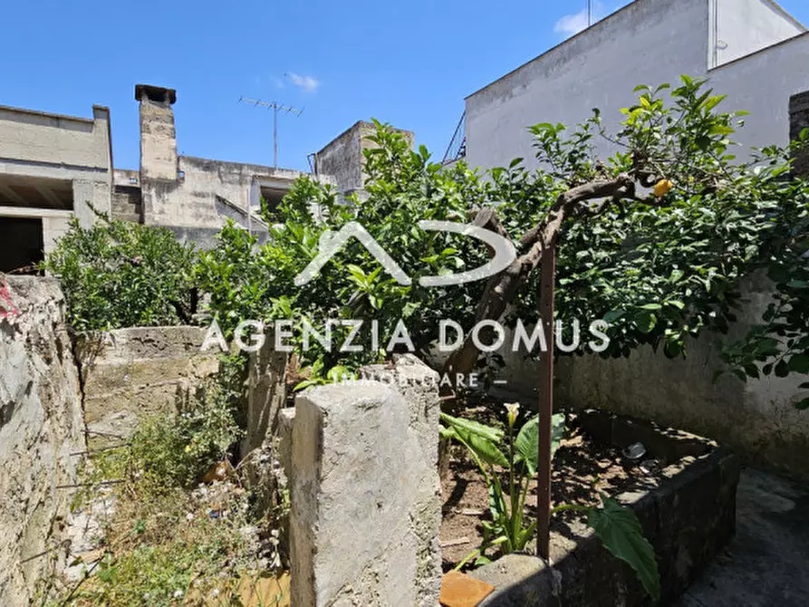 Immagine 22 di Casa indipendente in vendita  in Via Regina Margherita 62 a Taviano