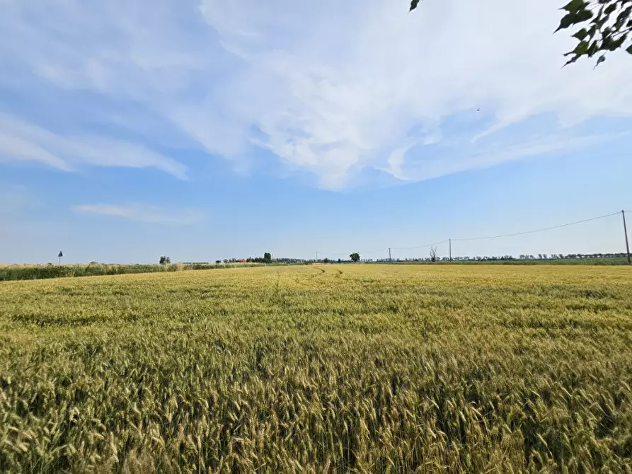 Immagine 6 di Casa indipendente in vendita  in STRADONE VALLARANA a Casale Di Scodosia