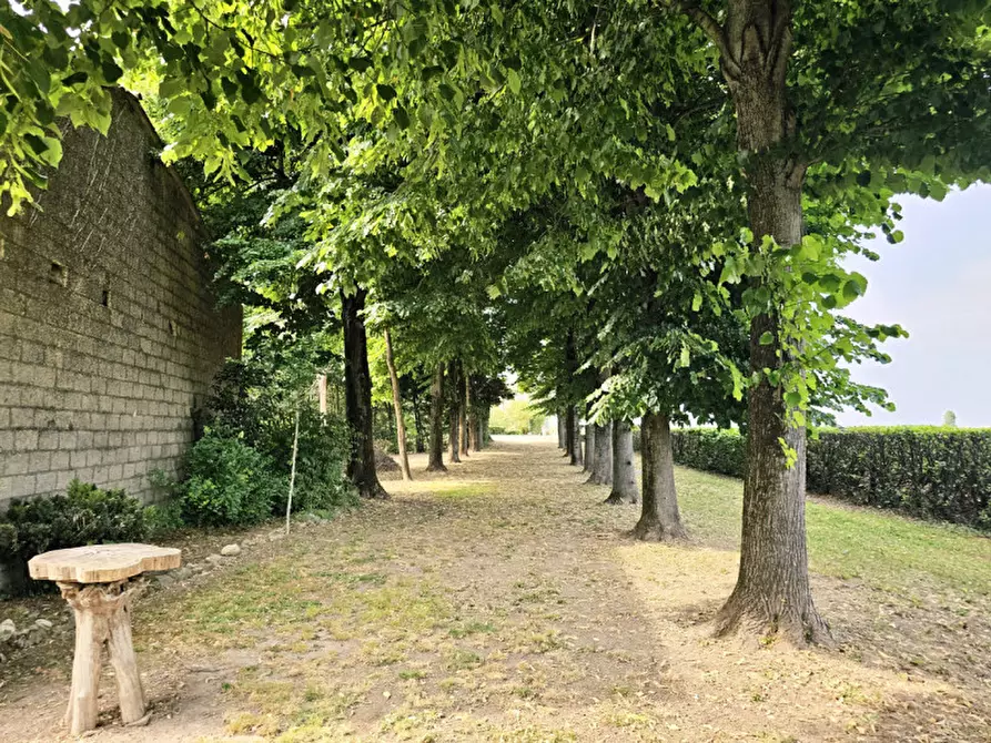 Immagine 7 di Casa indipendente in vendita  in STRADONE VALLARANA a Casale Di Scodosia