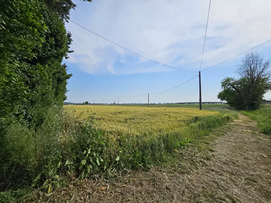 Immagine 23 di Casa indipendente in vendita  in STRADONE VALLARANA a Casale Di Scodosia
