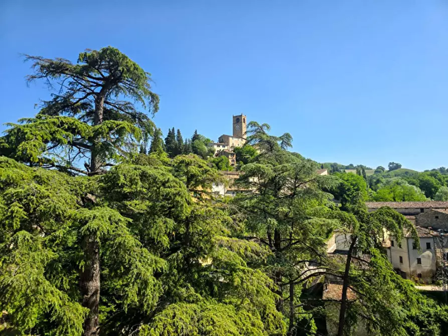 Immagine 40 di Appartamento in vendita  in Corso Angelo Battelli a Macerata Feltria