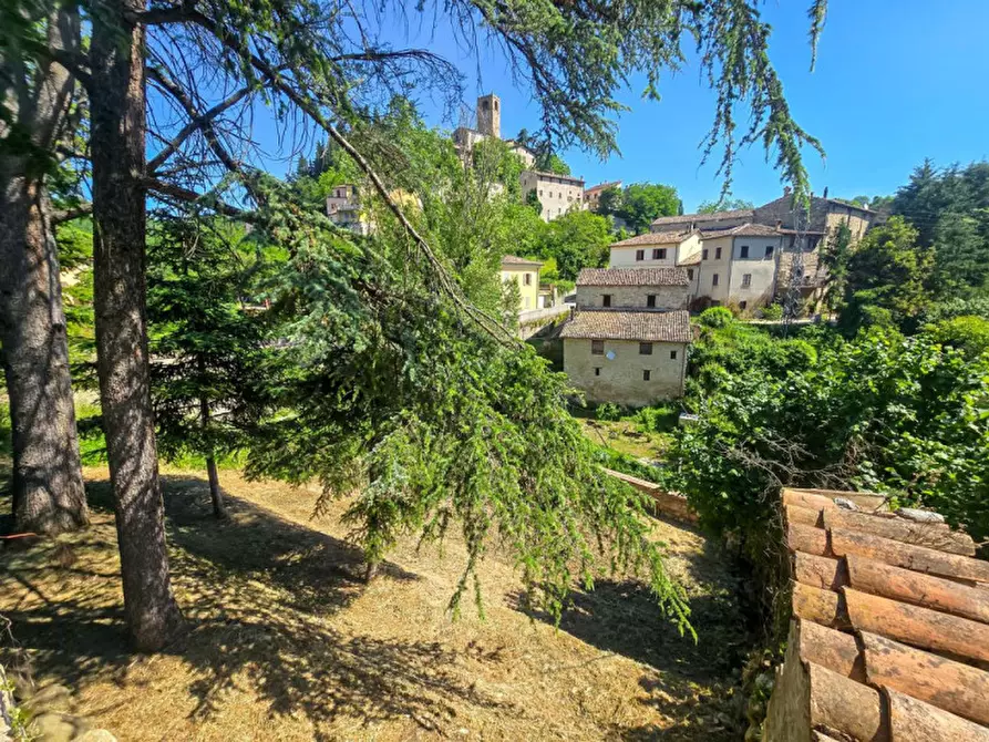 Immagine 41 di Appartamento in vendita  in Corso Angelo Battelli a Macerata Feltria