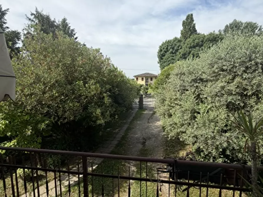 Immagine 13 di Appartamento in vendita  a Vigonza