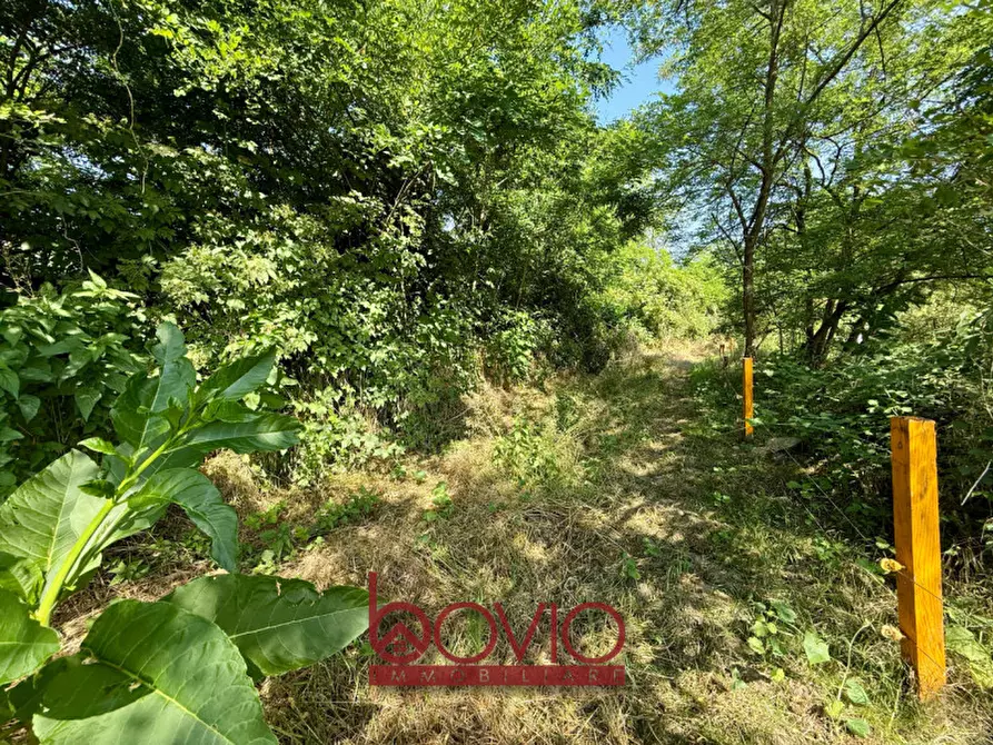 Immagine 28 di Terreno in vendita  in Via Chivasso SNC a San Raffaele Cimena