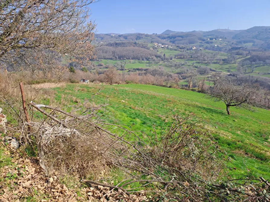 Immagine 11 di Appartamento in vendita  a Roverè Veronese