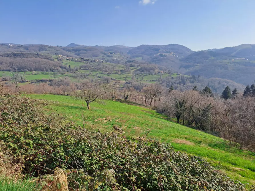 Immagine 13 di Appartamento in vendita  a Roverè Veronese