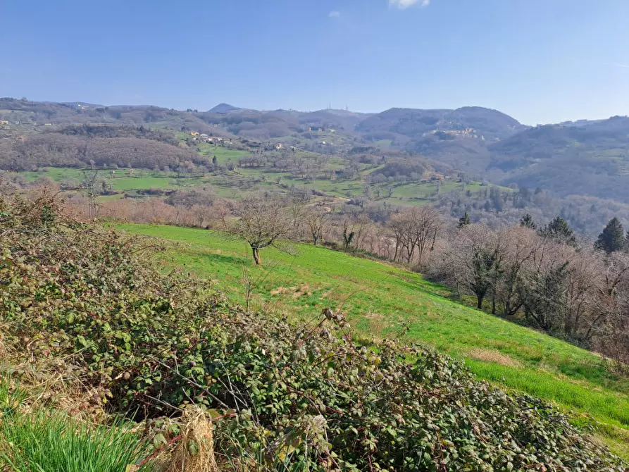 Immagine 14 di Appartamento in vendita  a Roverè Veronese