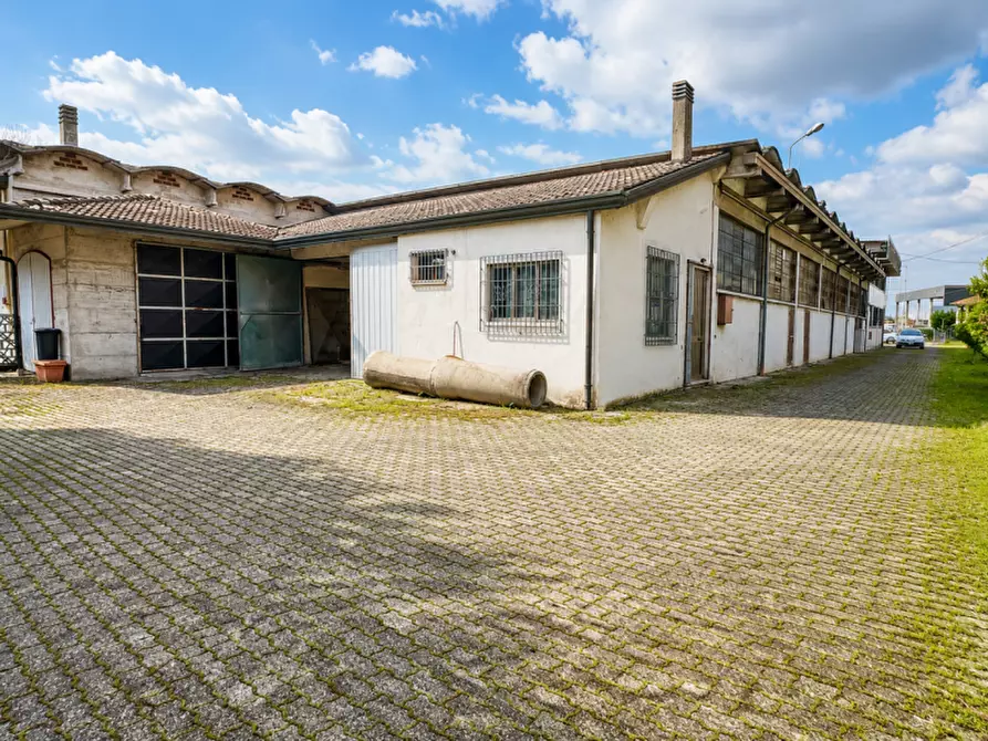 Immagine 3 di Capannone industriale in vendita  a Grantorto