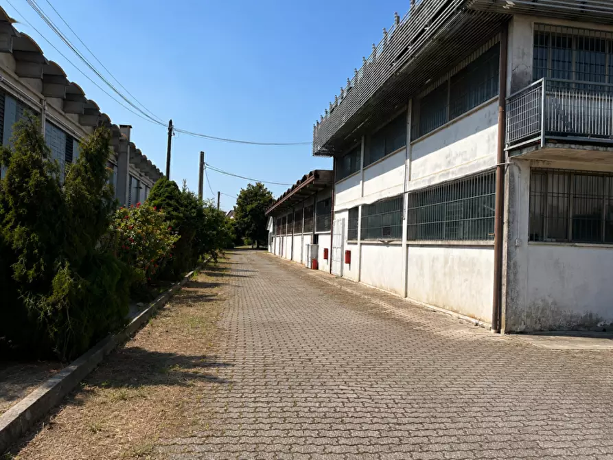 Immagine 11 di Capannone industriale in vendita  a Grantorto